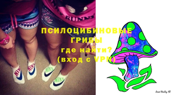 Альфа ПВП Алексин