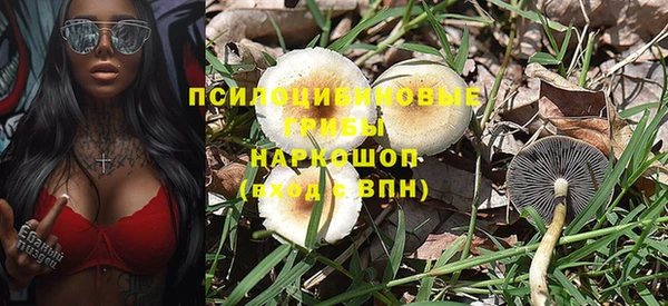 молекула духа Навашино
