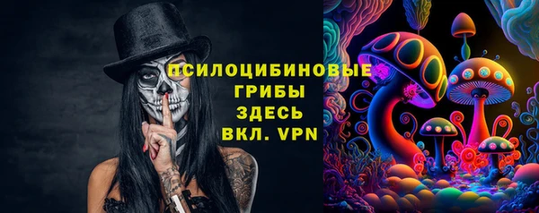 Альфа ПВП Алексин