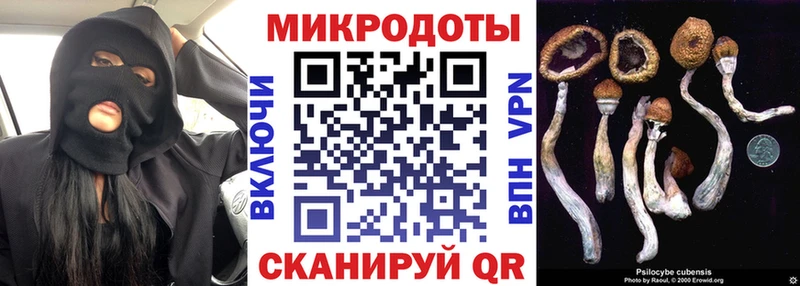 где найти наркотики  Апшеронск  Галлюциногенные грибы ЛСД 